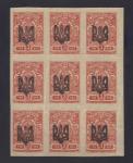 Ukraine 1918 - 1919